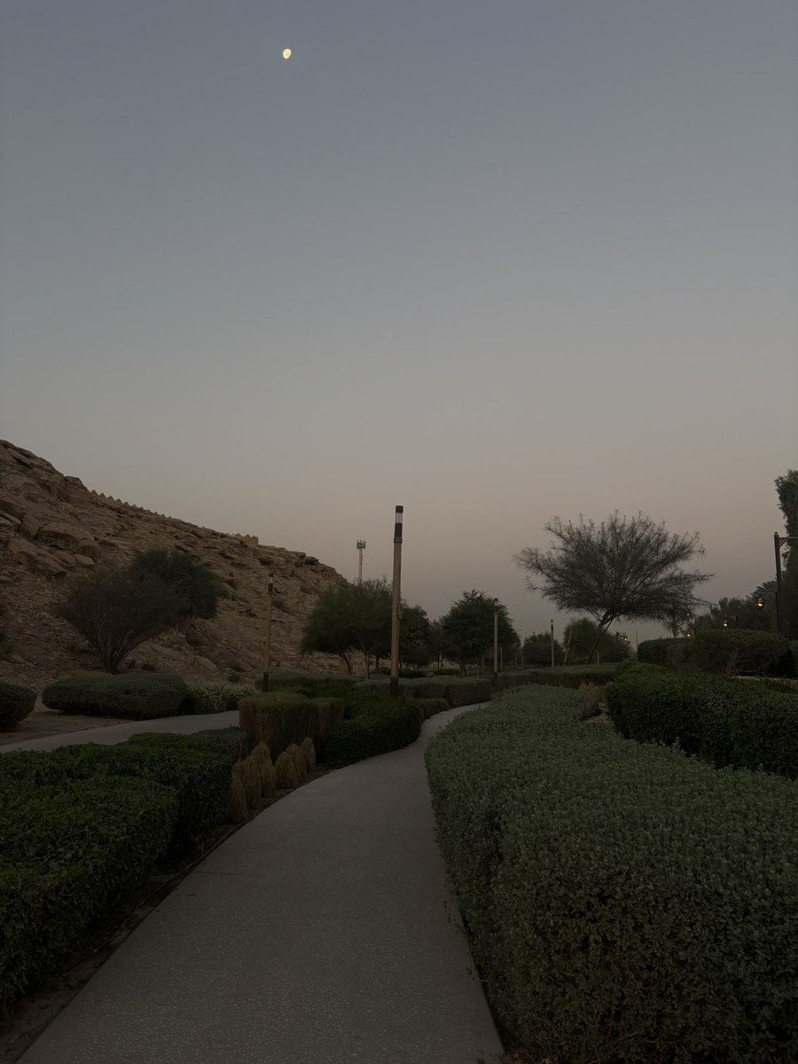 OhudTurki's tweet photo. Early morning cardio , 100/10 recommended ❤️ https://t.co/L48r9Fsyu2