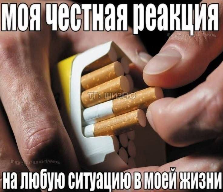postkadr's tweet photo. https://t.co/qQB8WuOlNP