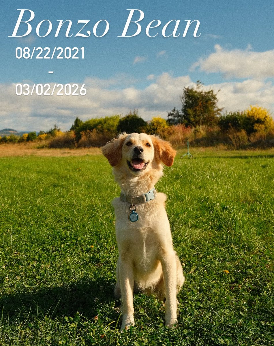 amandagosomew's tweet photo. A loyal friend, a loving brother, forever missed. https://t.co/l9stNeaQ09
