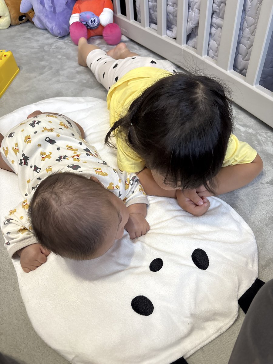 saechy's tweet photo. まだ赤ちゃん返りしてるとこあるけど、なかなかいい感じに仲良しですわ https://t.co/UL0yVspg6w