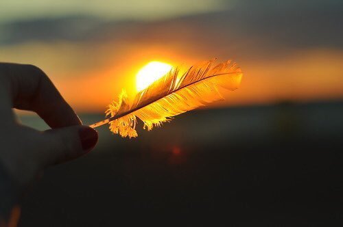 m____l11's tweet photo. الصباح احساس ونغام وصدى
ياصباح  الحب وانغـام الحياهـ

ايه احبگ وعشقگ حد المدى
والله اني عنگ مـاعنـدي غناهـ

#الحــرفــⓂ️ https://t.co/7DHNG8Vg9f