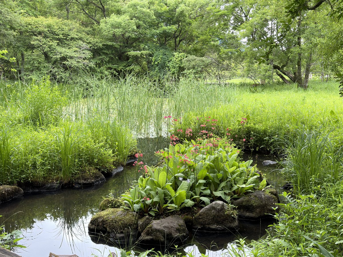 setchi's tweet photo. 空気が気持ちいい〜🌿🌿🌿 https://t.co/pzzS65f2aE