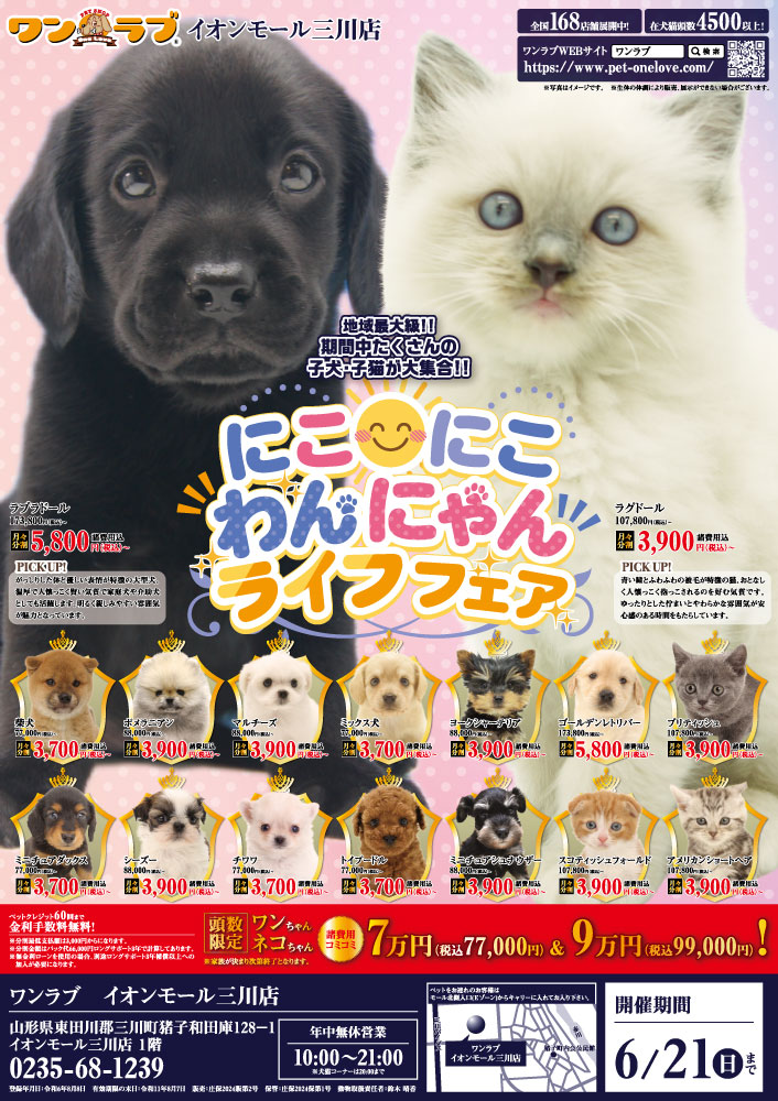 petonelove's tweet photo. 【にこにこ わんにゃん ライフフェア 開催！！】山形県 ワンラブ イオンモール三川店 イベント開催！！6/6～6/21まで｜ワンラブグループ

https://t.co/HYaXPHA02t https://t.co/rL0P4V4JAi