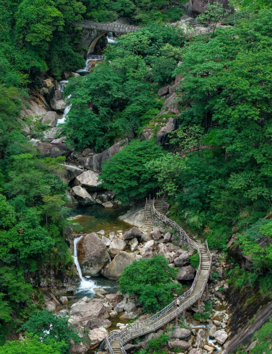 dfhmdfhm's tweet photo. 初夏的婺源，就是一座巨大的绿色能量场🍃🍃
#大美中国 https://t.co/iJXpoqUfIY