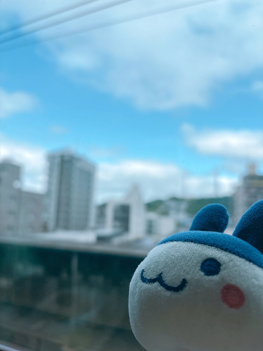 _33tchi's tweet photo. 故郷を離れるぴょん https://t.co/SEn9H52n8M