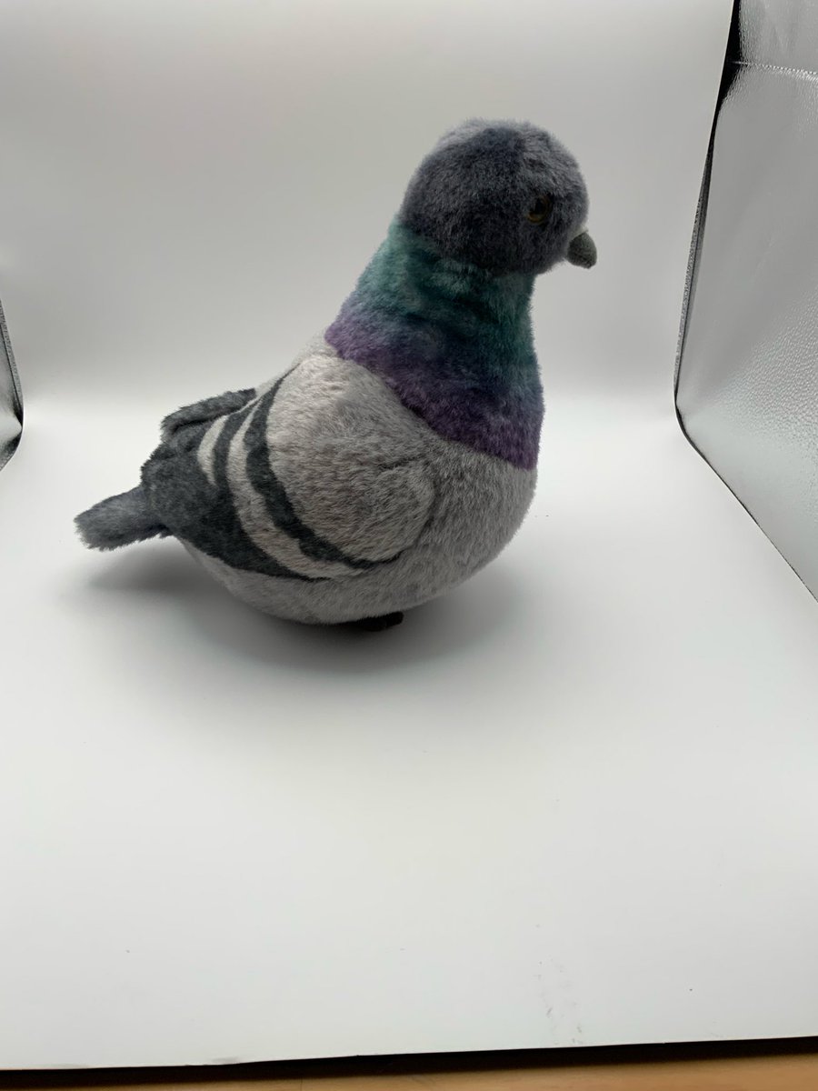 参考画像 ドデカ鳩