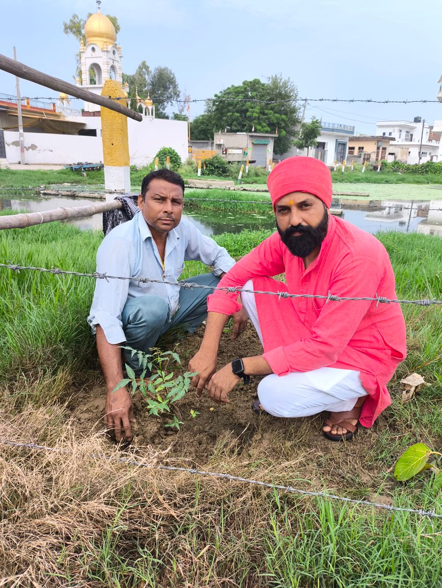 AartiInsan1010's tweet photo. लगातार पेड़ों की कटाई हो रही है जिसकी वजह से ग्लोबल वार्मिंग हो रही है।Saint Gurmeet Ram Rahim Ji ने Nature Gift मुहिम शुरू कि जिसके तहत अब तक लाखों पेड़ लगाएं जा चुके हैं, उनकी देखभाल भी करते हैं। आज #WorldEnvironmentDay पर सभी एक पेड़ लगाने का प्रण लें।
#WorldEnvironmentDay2026 https://t.co/XDegWeSLAJ