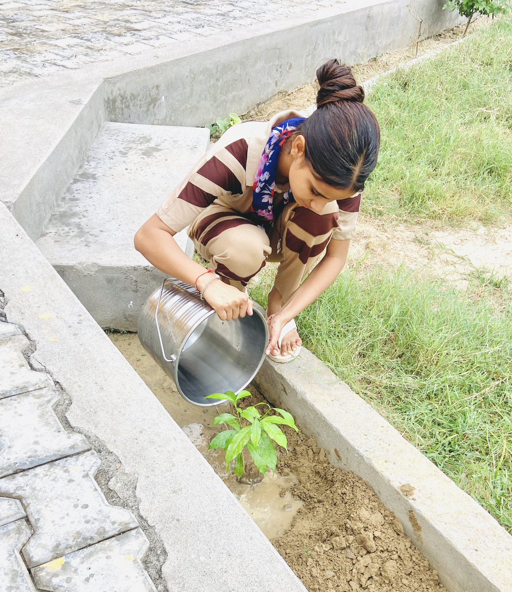 Reenumeet's tweet photo. A healthy atmosphere is the foundation of a healthy future.
On  #WorldEnvironmentDay2026
Let's talk on Nature Campaign,  an environmental initiative led by Saint Gurmeet Ram Rahim Singh Ji Insan to  protect the nature through continuous tree planting. 
#WorldEnvironmentDay https://t.co/RS3zQslvc7