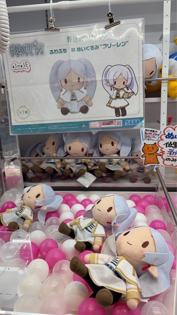 葬送のフリーレン ふわぷち Mぬいぐるみ“フリーレン” 登場🧸💐 TV