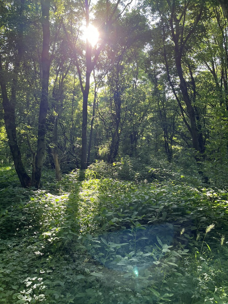 Jaylooker's tweet photo. Took a walk along the main river https://t.co/RXMElXWdSf