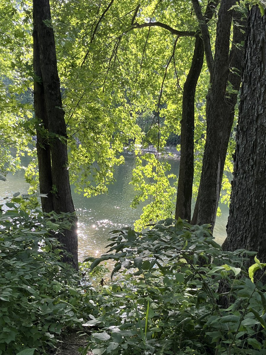 Jaylooker's tweet photo. Took a walk along the main river https://t.co/RXMElXWdSf