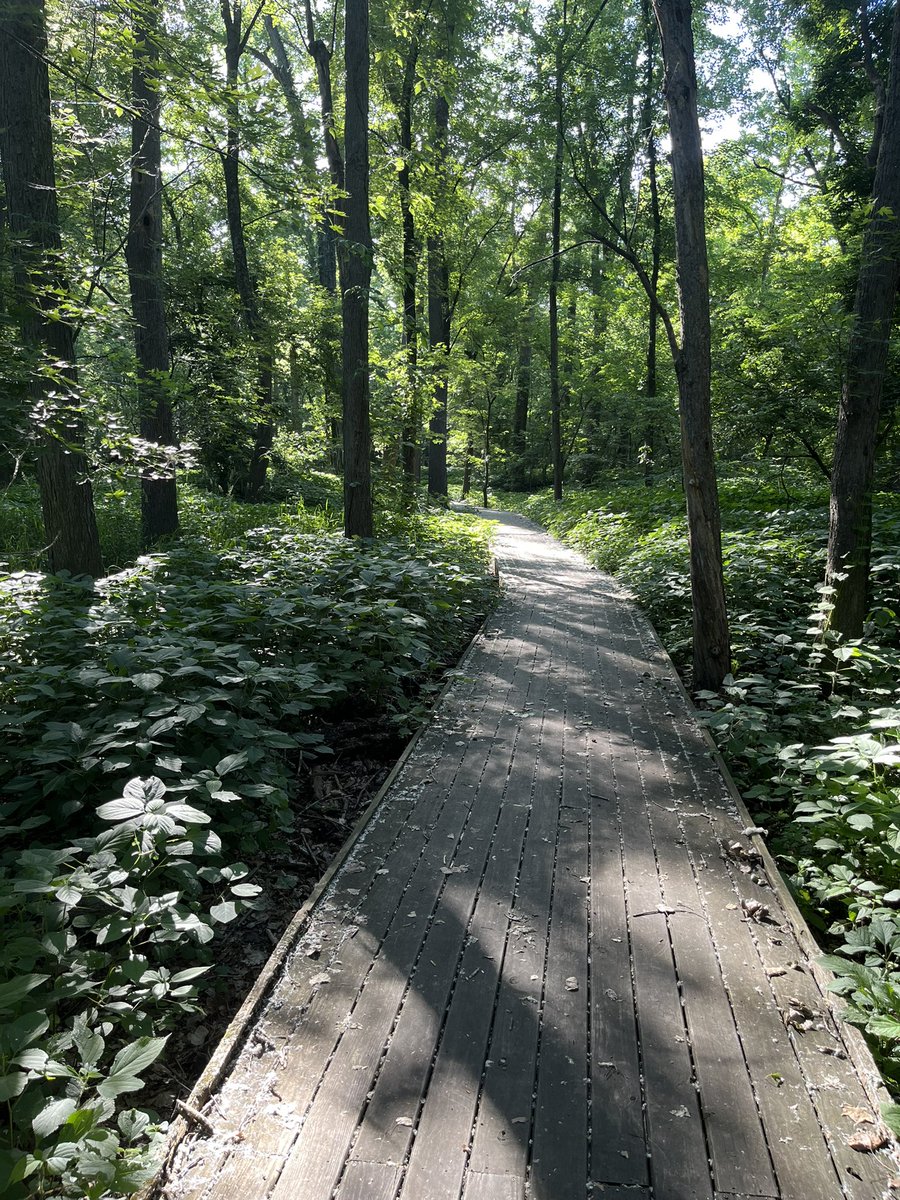 Jaylooker's tweet photo. Took a walk along the main river https://t.co/RXMElXWdSf