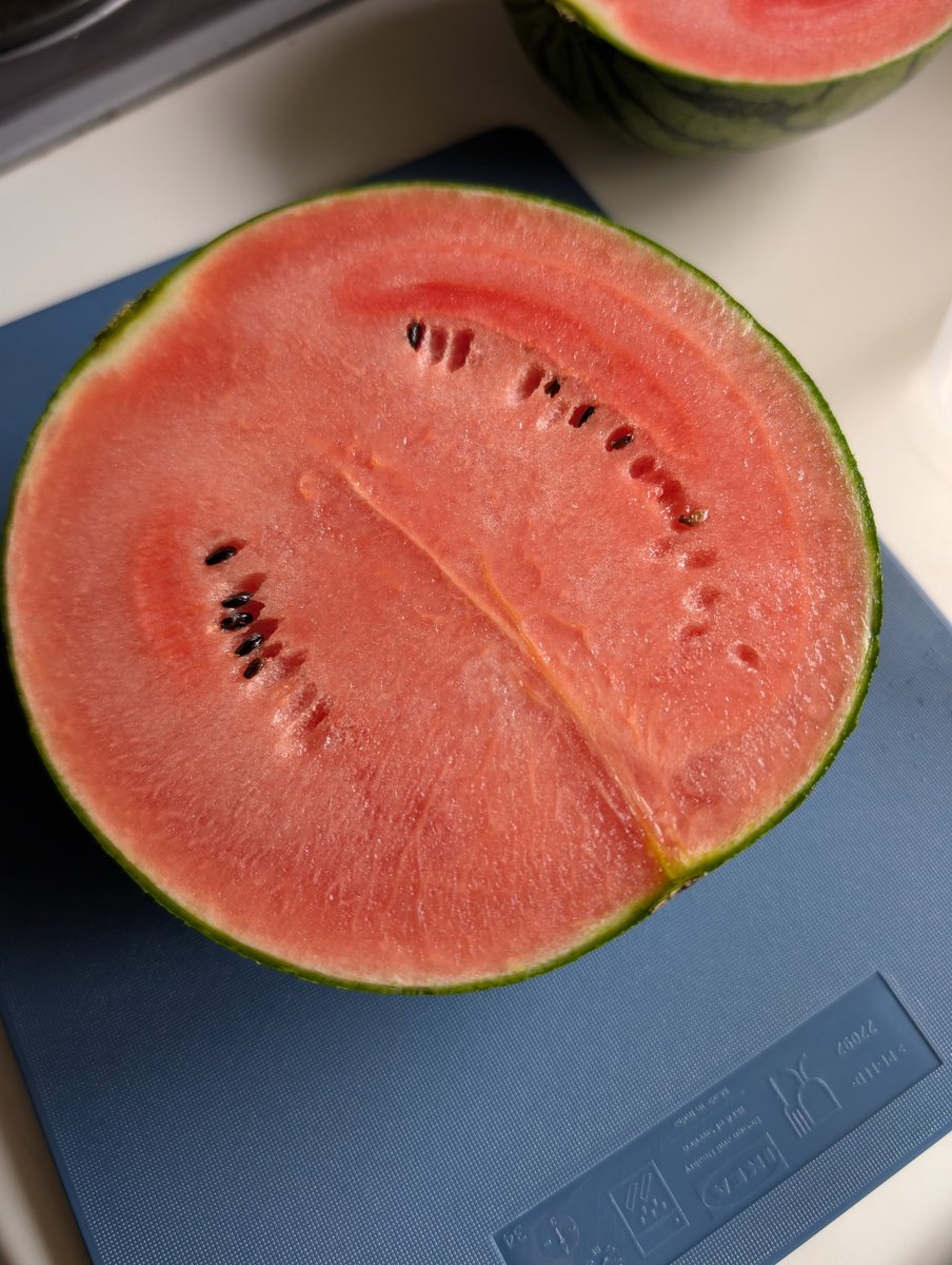 Kiki__image's tweet photo. ピノガールを気が��ったように食べる時期が来ました🍉
種まで食べれて皮が薄くてほぼまるまる果肉。浮腫も取れるしリコピン取れるし美容にもいい事だらけ。
美味しいの…本当に大好き…食べてみて欲しい！ https://t.co/L6yOlV9Dou