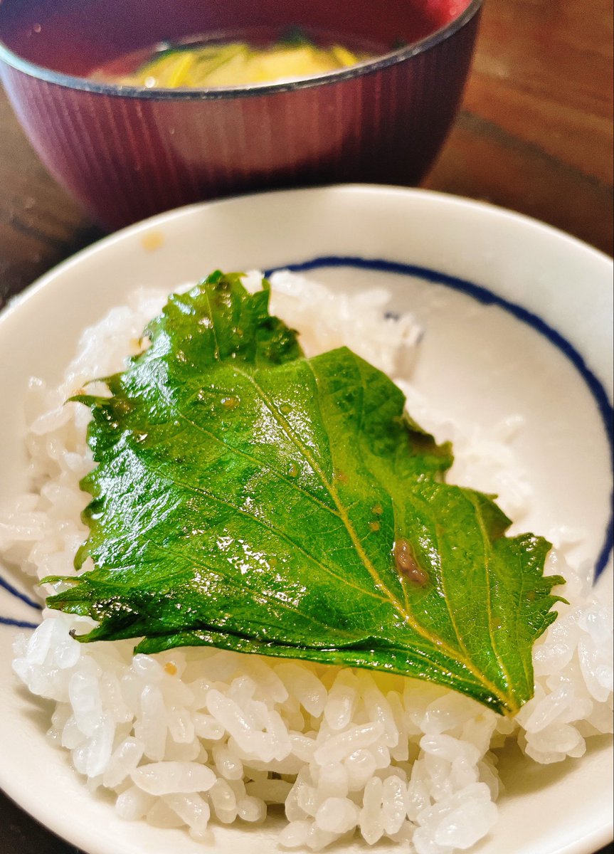TSUDUYA's tweet photo. https://t.co/BkmwdSDNdM