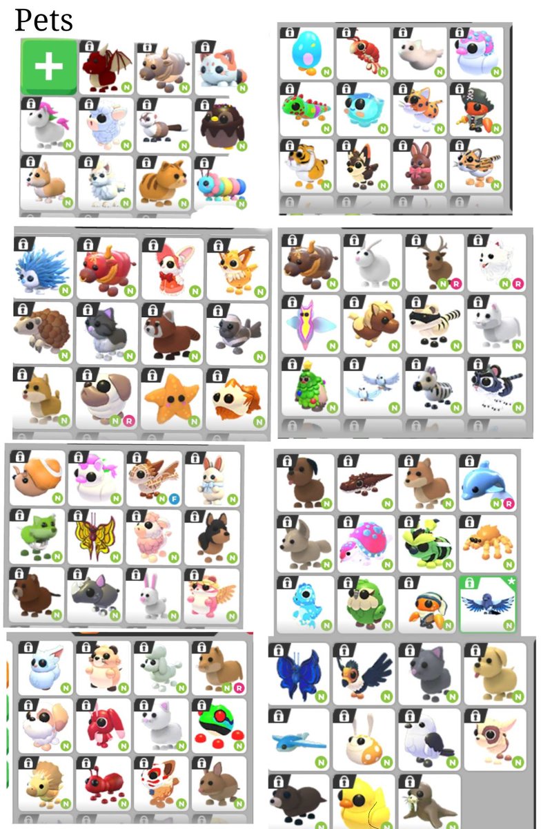 alzanix's tweet photo. selling adm neon pets and pw for robux and gcash https://t.co/joInz6Ka0y