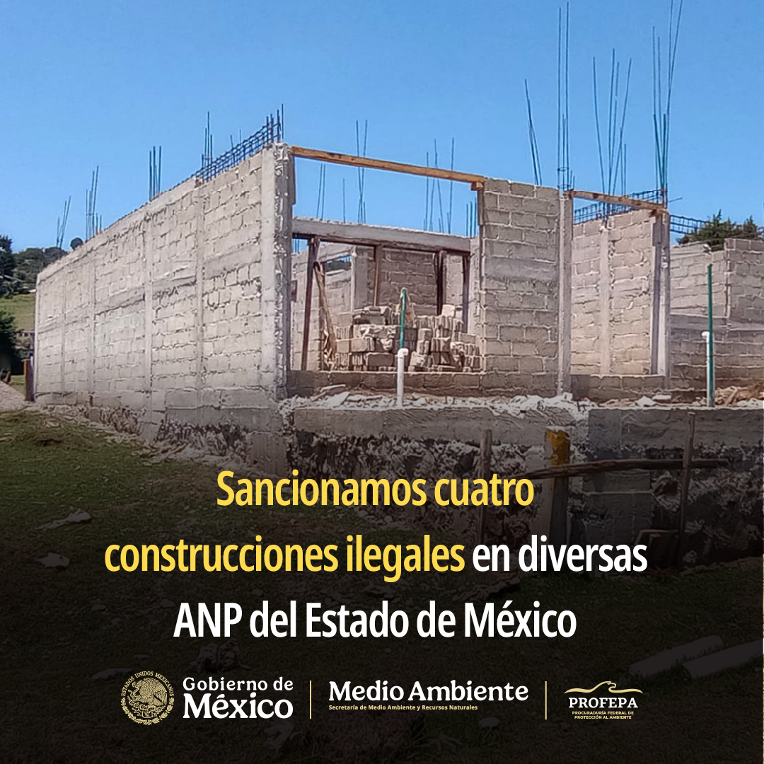 PROFEPA_Mx's tweet photo. La Procuraduría clausuró cambios de uso de suelo y obras ilegales realizadas en distintas áreas naturales protegidas del Estado de México, pues ponen en riesgo el equilibrio ecológico.

La Profepa informa que se dará seguimiento a los procedimientos administrativos que se instauren y continuará realizando acciones de vigilancia en las ANP de la entidad.
Lee más ➡️ https://t.co/pjELHkLX6P