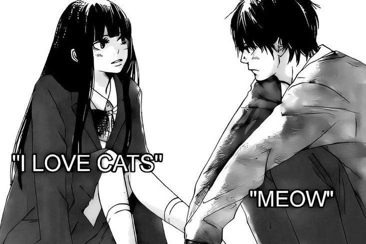 ִ ࣪★ tweet media