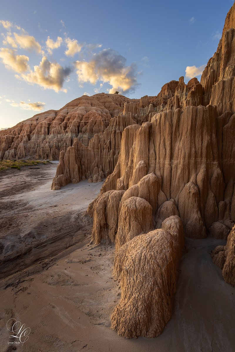 chilcott_l97575's tweet photo. We decided to take advantage of a rare two days off and explore someplace new. We ended up in Cathedral Gorge State Park in Nevada and wow, what a hidden gem! Highly recommend! #cathedralgorge #nevadastateparks #landscapephotography #adventureisoutthere https://t.co/p5qsnRtXLL