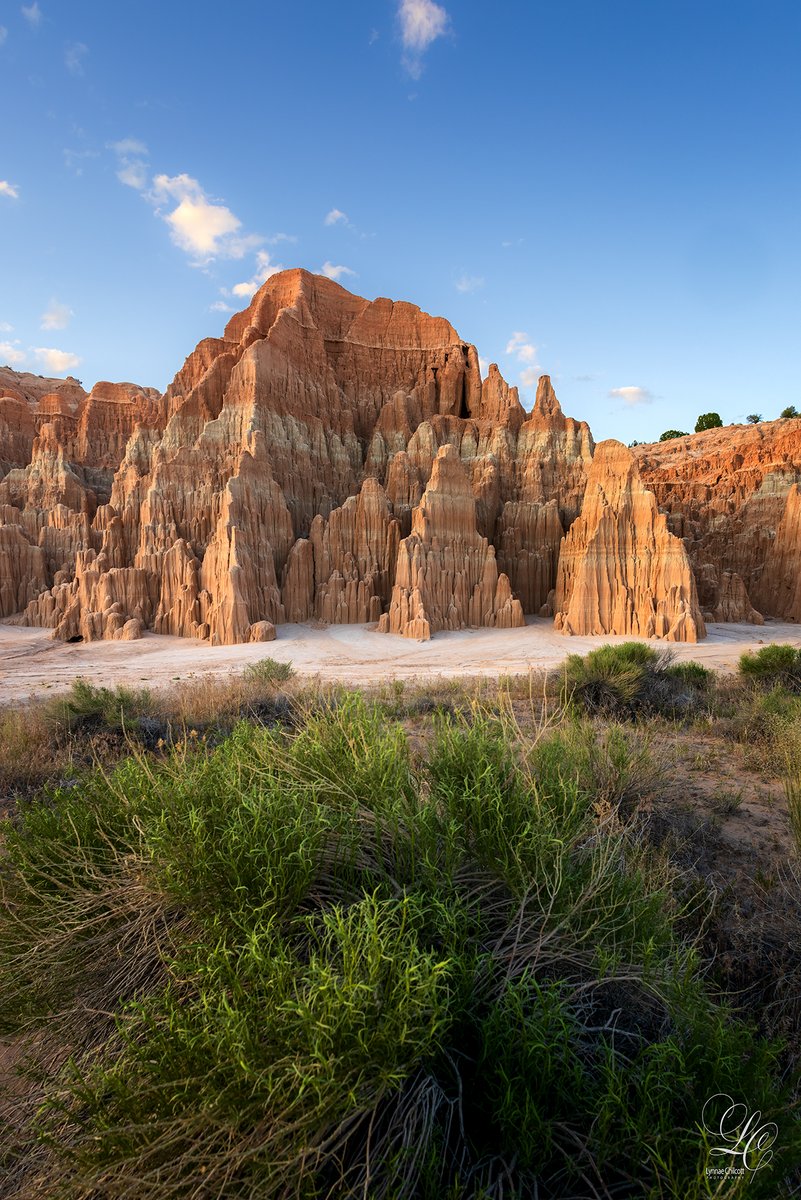chilcott_l97575's tweet photo. We decided to take advantage of a rare two days off and explore someplace new. We ended up in Cathedral Gorge State Park in Nevada and wow, what a hidden gem! Highly recommend! #cathedralgorge #nevadastateparks #landscapephotography #adventureisoutthere https://t.co/p5qsnRtXLL