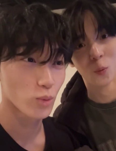 tyudeonggie's tweet photo. my silly puppy kitty duo https://t.co/qaSnYo5X6w