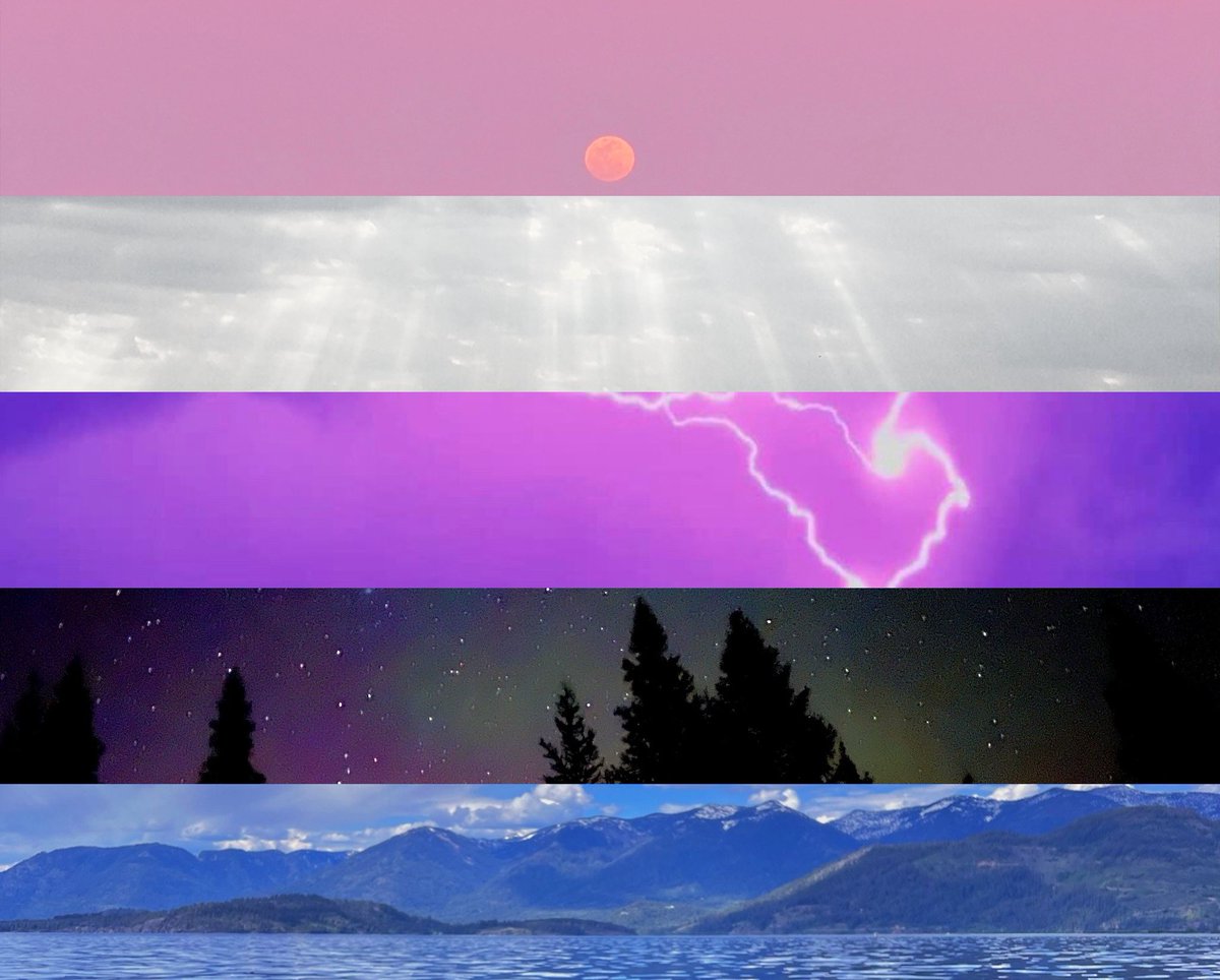 16pxl's tweet photo. genderfluid pride flag i made using my own photography 🩷🤍💜🖤💙 https://t.co/lmISLJflWZ