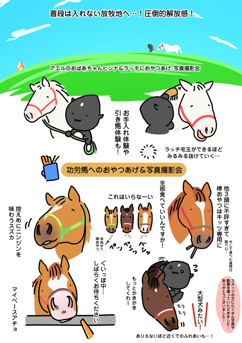 kanikama2gou's tweet photo. AERUさんのバックヤード体験の感想🙏お値段は張りますが、ここに描ききれない程濃密でそれ以上の体験でした！作業や施設など普段見られない所、驚くほど近すぎるふれあい…フェッスーが犬に⁉新たな魅力の発見も…AERUの馬たちが大好きな人にはたまらないので迷っておられる方は参加おすすめです！ https://t.co/n9UYD0WZpu