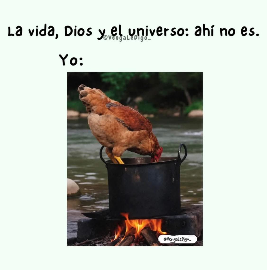 elmonosanchezof's tweet photo. https://t.co/zC7y2C72JQ