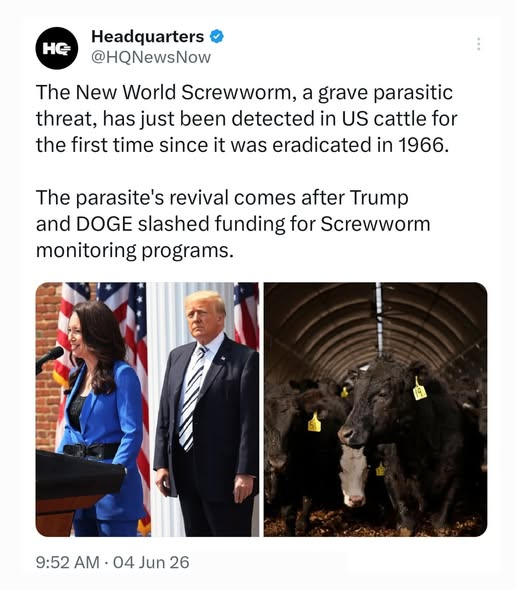 JamesTate121's tweet photo. This anti science administration is causing immense damage. https://t.co/YuQNlZ1wLP