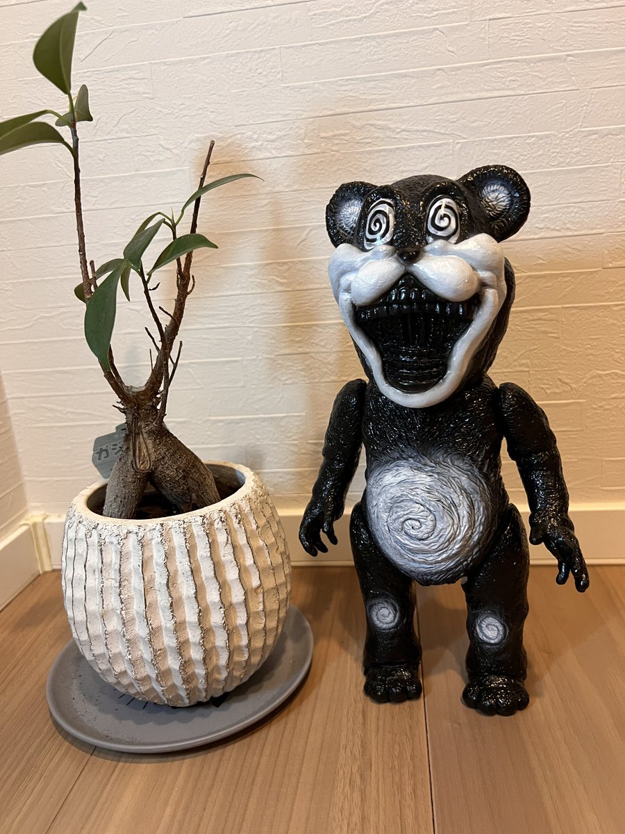 我が家にもブラックベア届きました！ 目の🌀🌀がたまりません
