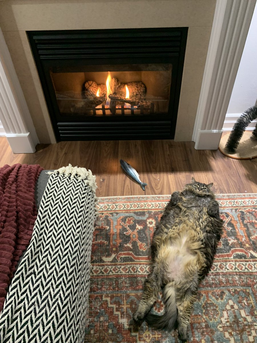 thejoshl's tweet photo. Sadly we had to say goodbye to our sweet, perfect Racha today. She was our best friend for the last 12 years and will be greatly missed. https://t.co/r5FFvpKBRB
