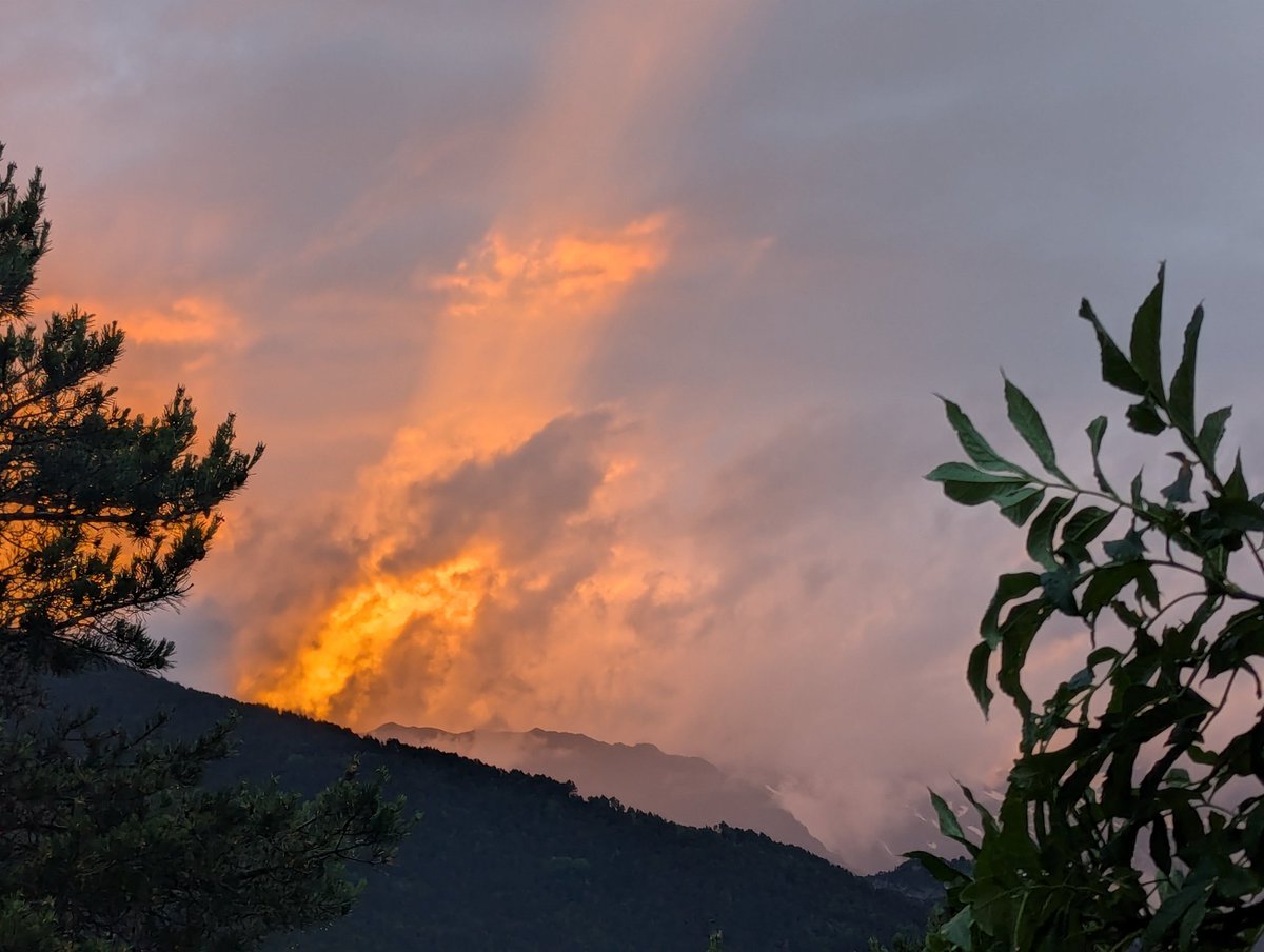 VisualMeteo tweet picture