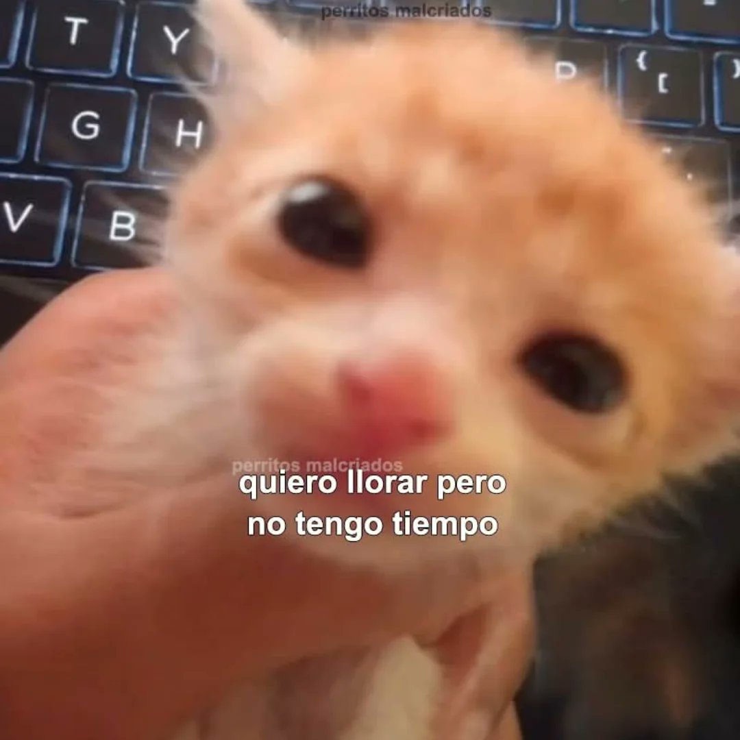 suspirxsalaire's tweet photo. https://t.co/LkhA7XFNUN