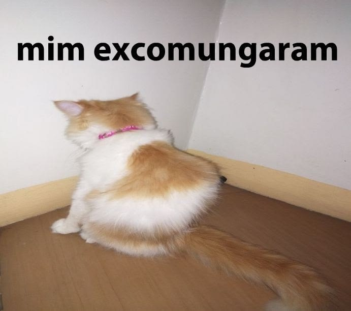666_papada's tweet photo. simplesmente seja melhor e n se importe https://t.co/2orWFMM2FC