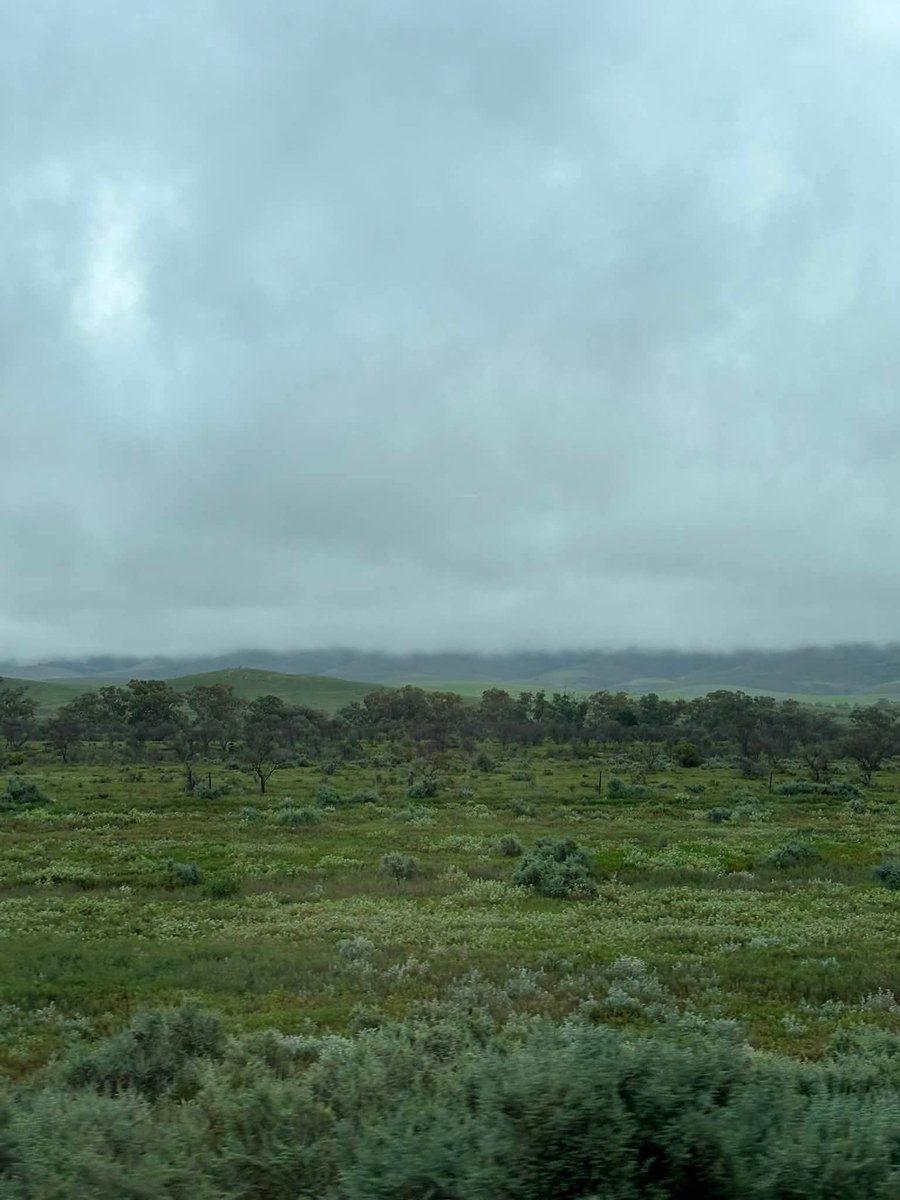lowlandsapien's tweet photo. My cousin is up around Marree, SA currently.
Standard pic of Marree on left, his pic from yesterday on right https://t.co/wxIrP3tveD