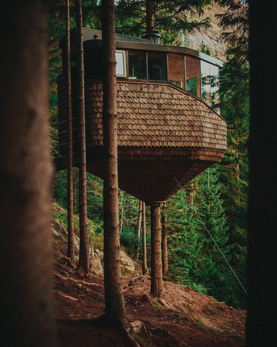 TinyHouseTalk's tweet photo. Six meters above the Norwegian forest, suspended between living pines. The Woodnest Treehouse in Odda is 160 sq ft of pure architecture, with floor-to-ceiling fjord views. Would you stay?

https://t.co/U6mBnQPCHb

#tinyhouse #treehouse https://t.co/p5QYceqtZg