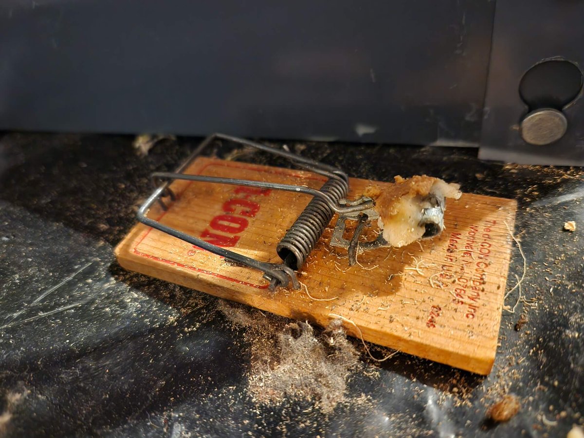 HunterConserve's tweet photo. When would using a mouse trap break the law? If an extreme anti-hunting, animals rights ballot initiative qualifies and passes in Oregon.>>https://t.co/venPXDUju8 https://t.co/gh192ifaHJ