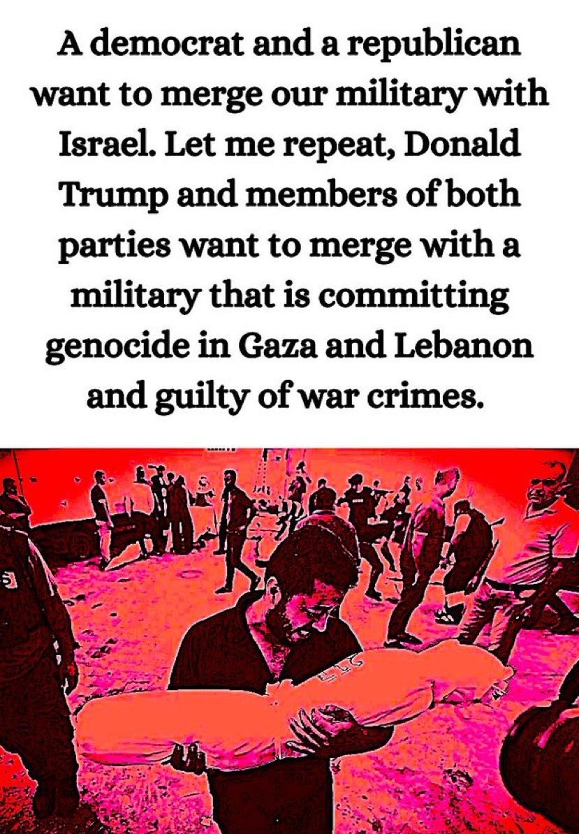 MerciDee71's tweet photo. @RepMarkHarrisNC Do you support merging our military with Isreal?  Isreal is actively coming g war crimes.  Do not vote for the Section 224 into the 2027 NDAA.  We don’t want any cooperation with war criminals. https://t.co/ejeCea99On