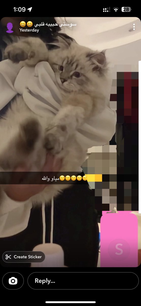 تُولِي tweet media