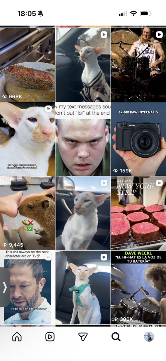 discoposse's tweet photo. My IG fyp is pretty accurate lol https://t.co/q61aAA4SQA