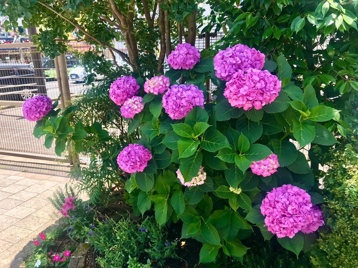 JapanSudlaach's tweet photo. Зөв хүн нийгэмд анзаарагдахаа болино гэдэг бол
Буруу хүн олонх болсны шинж
🍀☀️🌞☕️ӨГЛӨӨНИЙ МЭНД☕️🌞☀️🍀 https://t.co/UOf0gAWhMG