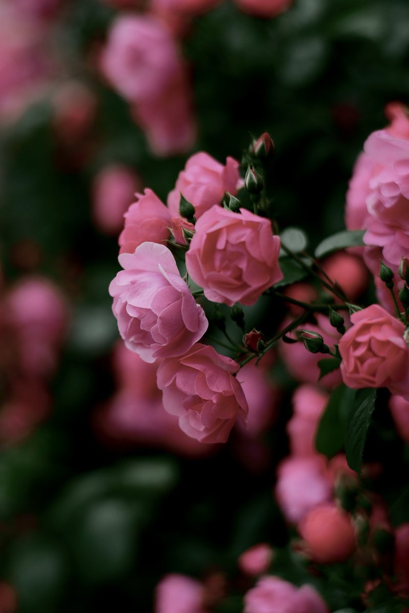 Ryow's tweet photo. snapshot

#スナップ写真
#街角スナップ
#キリトリセカイ
#snapshot

Nikon Z6Ⅲ
CONTAX Planar 85mm F1.4 https://t.co/9KppQDQMMO