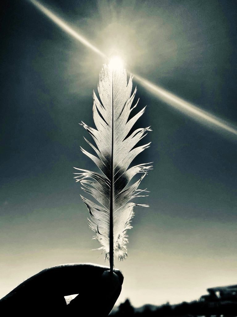 czmnl's tweet photo. gözlerinle dilin arasına gerili uçurumu seviyorum

kekeme özgürlüğünü seviyorum

susuşundaki hıncı seviyorum

kalbinde ürperen kışı seviyorum

ellerindeki bilge zamanı
denizi yağmurdan korumaya çalışan
çocukluğunu seviyorum

alnın masamızda dört mevsime ufuk
dudaklarında titreyen zamanı seviyorum

yürüyorsun ya kalabalık
dönüp bir daha bakıyor kendine
boyunda çiçeklenen yedi rengi seviyorum

her damlası ayrı bir hayat, ne bilsin yüzüne düşmeyen
gözlerindeki yaşı seviyorum

beni uzaklaştırmaya çalışırken aklından geçenleri seviyorum

kalbinden gövdene yürüyen utangaç karıncayı seviyorum

ses nasıl menevişleniyor susunca ağzında
ağzından gelecek her sevinci, her azabı seviyorum

gece ışıklarından topladığın o evler esrarını seviyorum

susmanında bir dili var elbet
teri yastığına sızan rüyanı seviyorum

uyandığın sabahlardan başka bağım yok dünyayla
odalara ömür veren gövdeni seviyorum

yürümediğin sokaklar nasıl da göz göz
bekleyişteki o mucizeyi seviyorum

serçe parmağındaki lekedir yerim, kalabalığın uyumuna inat
hayalin gerçeğe değdiği yeri seviyorum

ölümdür en büyük zaman, bilmez takvim gezenler
bir iç çekişte yanan hayatı seviyorum

bizden büyük tanrısı yok yalnızlığın
getirdiğin hevesi götürdüğün inkârı seviyorum

evlerdesin, dışarılar hüzün, eşyalar ayakta
senden ayrılanı seviyorum, sana kavuşanı seviyorum

uzun cümlelerle konuşuyor kalabalık
bir sözcüğe sığdırdığın dünyayı seviyorum

o gölgeyim taş dibinde, bir çürüme bilinci
hükmüm yok bahçende diyorum
üstüme elediğin şefkati seviyorum

dişlerimin arasında bir ishak kuşu
eğiyorum ya başımı
çaresizliğime tuttuğun aynayı seviyorum

bir gün bir kötü haber birimizden
kalanın diline gelecek ilk sözü, arayacağı ilk insanı
ilk gece yapacağı her şeyi seviyorum…

#ŞükrüErbaş