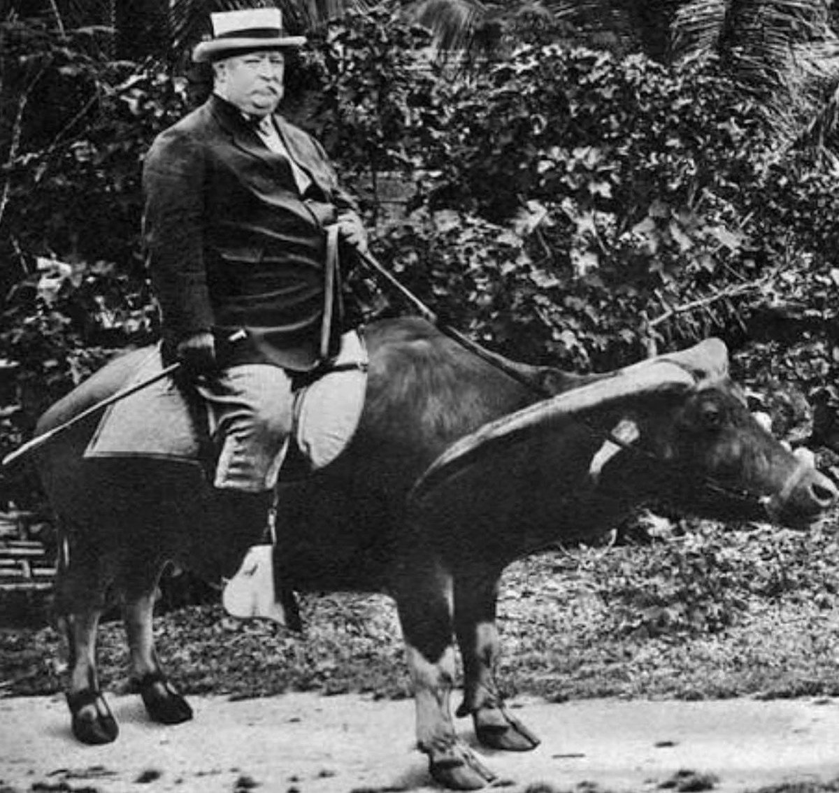 MarchaHist's tweet photo. Presidente Venceslau Vompla começa a longa tradição brasileira de levar sempre a vaca pro brejo (1837) https://t.co/GUJGh8Ed94