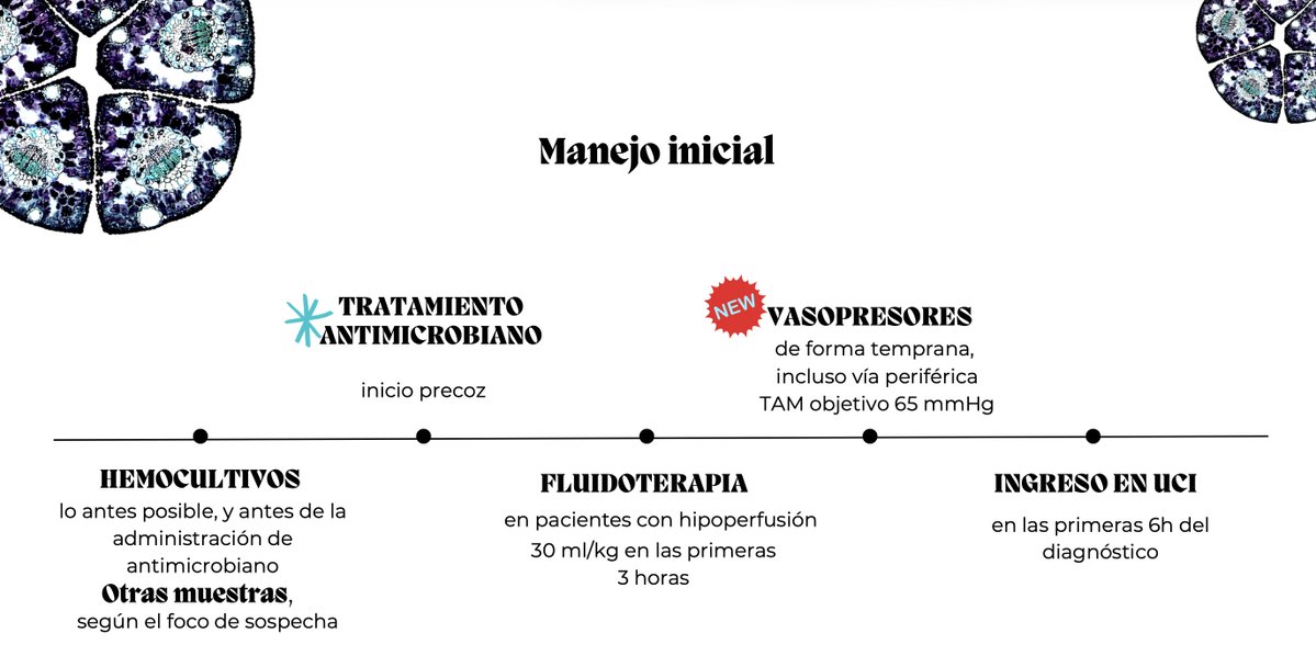 PROAZAMORA's tweet photo. La semana pasada tuvo lugar el curso 2026 del Equipo PROAZA: "Antibióticos: más allá de la prescripción" https://t.co/8CiKdAJIpl