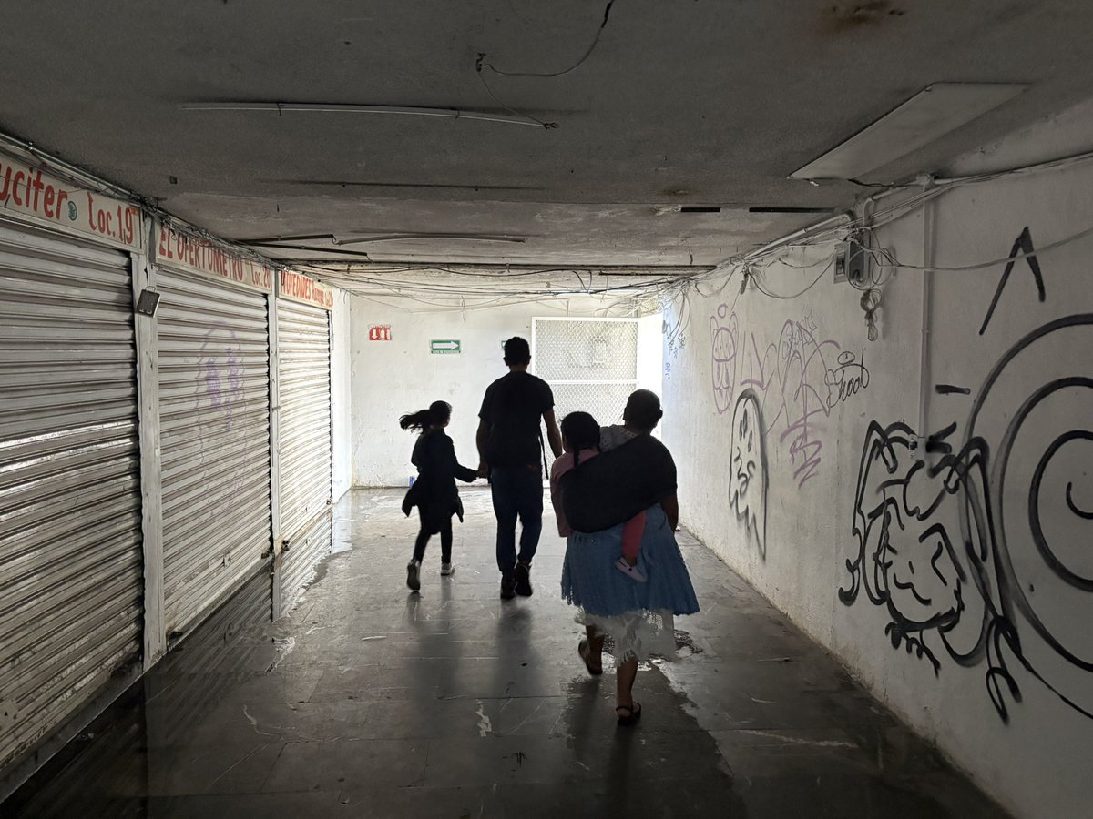 EcharriCotler's tweet photo. La calle debería ser para el peatón. 

Este puente peatonal no es un parque, y no soluciona el problema de movilidad. Simplemente le deja la calle a los coches, y para los peatones, puentes y túneles. https://t.co/gCh5SdMRds