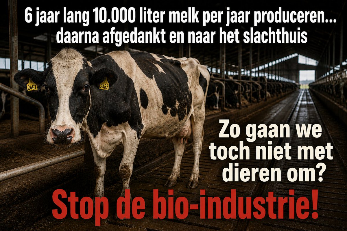 PeterHoogmoed's tweet photo. https://t.co/wxdV2h796i