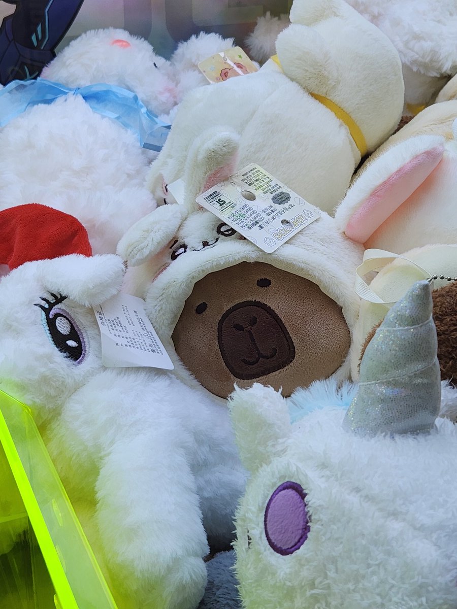 kbrazz's tweet photo. A capybara in an Usagi outfit in the crane game 🥹🥹🥹 https://t.co/tmYV6qlyLM