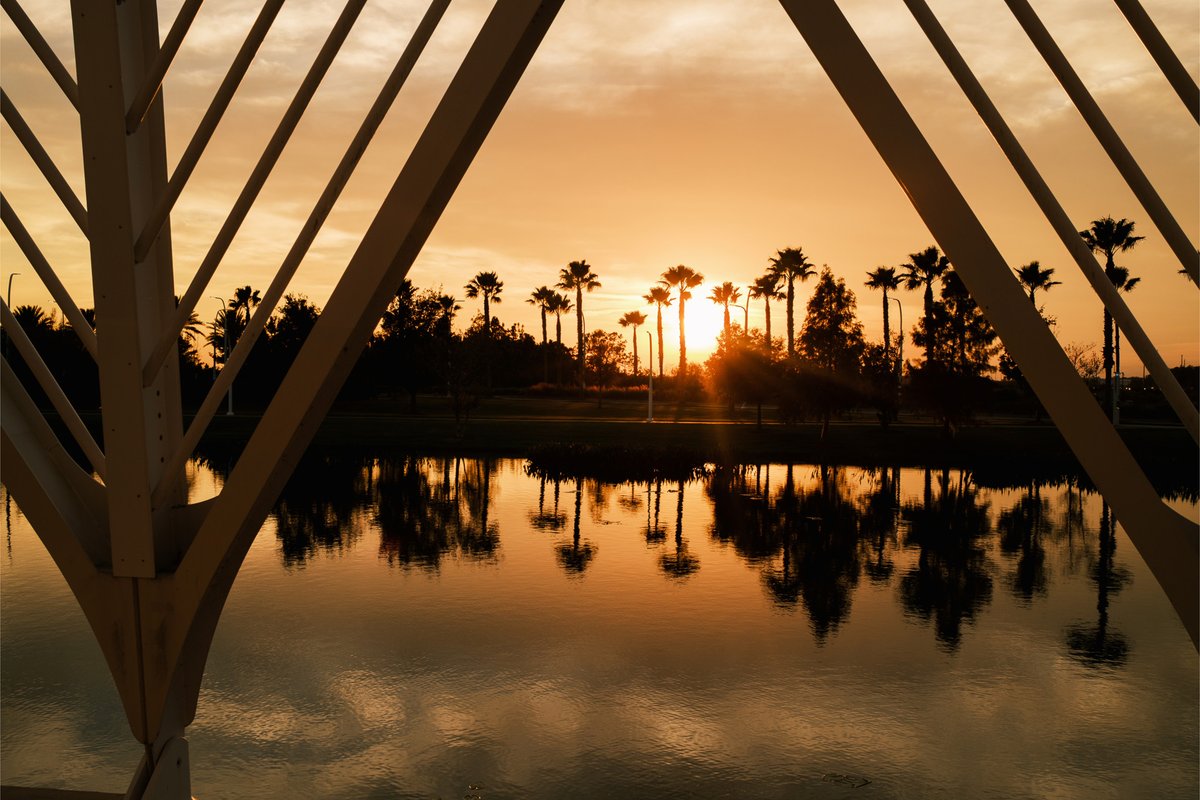 FLPolyU's tweet photo. Golden hour looks best on campus 🤩 https://t.co/FQOGI5TkYh