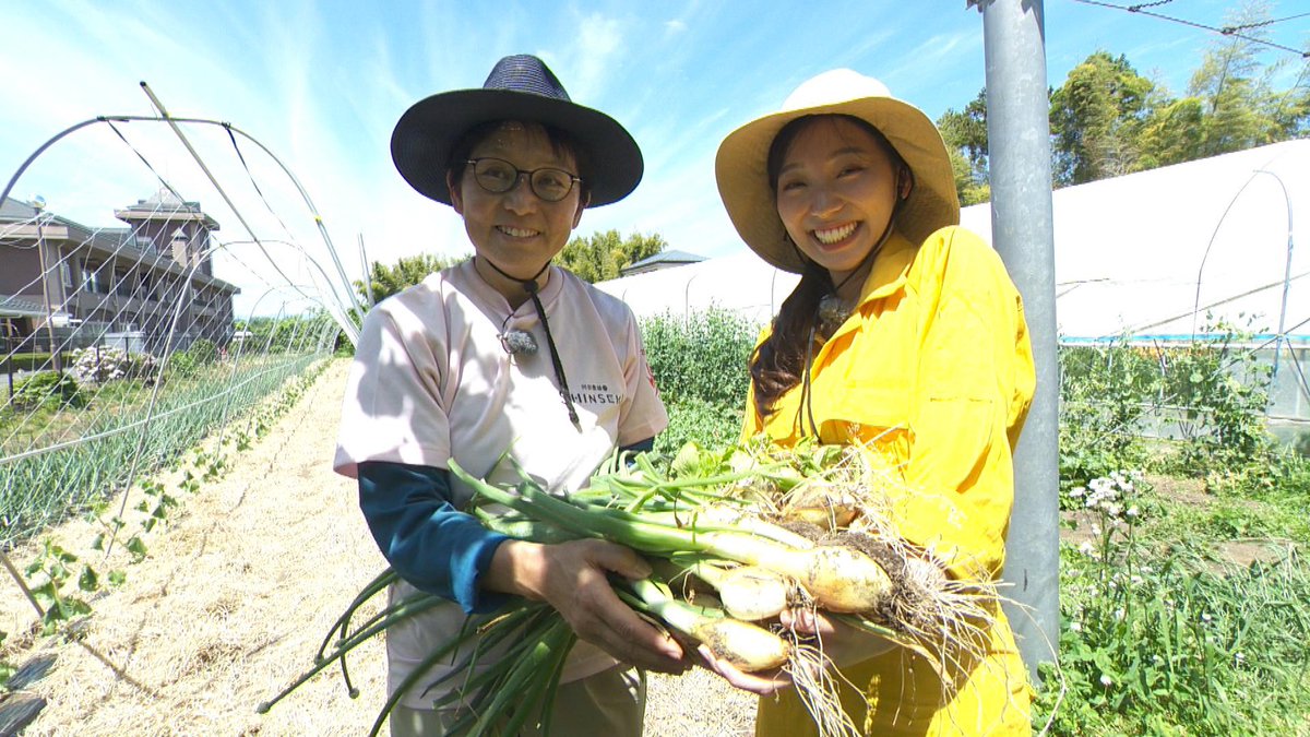 ftv_sata's tweet photo. きょうの #サタふくプラス #シルミルカオルコ は須賀川市で”初夏の旬野菜”を収穫！スナップエンドウのほか、意外な食材もいまが甘くておいしい！？ https://t.co/dkLi78aD1a