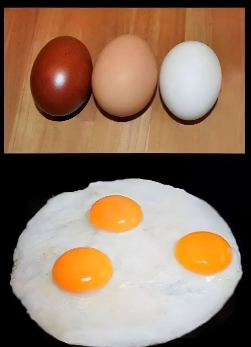 wolf39597's tweet photo. @SchoutenLegal Meneer Schouten ik ben BLANK. En dat ben ik al mijn hele leven. En uw Oekraïne vlaggetje geeft voor mij aan dat uw 'denkwijze' een flinke deuk heeft opgelopen! Oh, en 'wit' betekend 'zuiver'. Het is de kleur van de onschuld. Lol! En zoek hierin de verschillen!? https://t.co/OwWmHDvEh5
